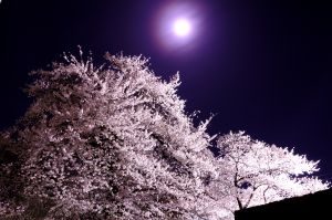 朧月夜ページ 朧月夜 | GANREF