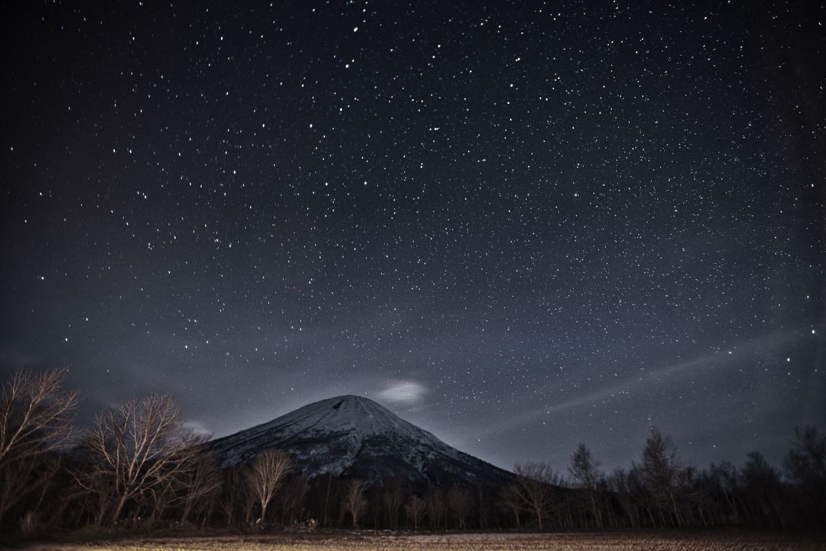 starry night | GANREF