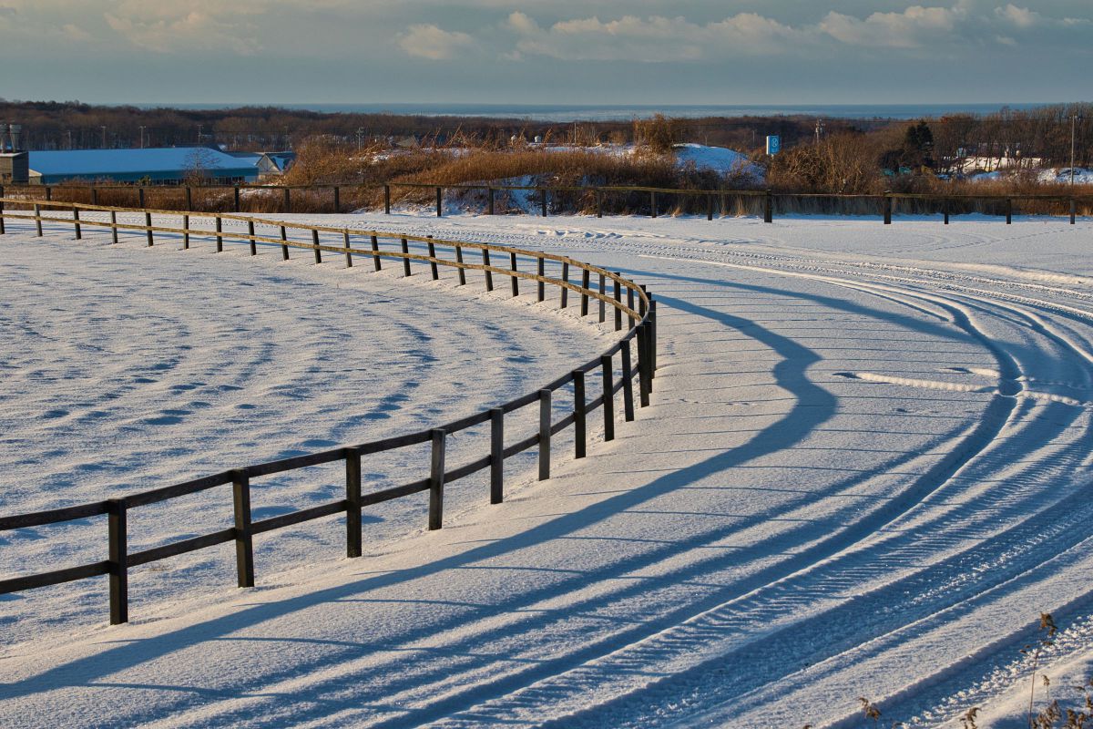 Still winter | GANREF