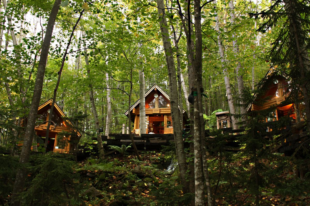ニングルテラス 街並み 建物 店舗 Ganref