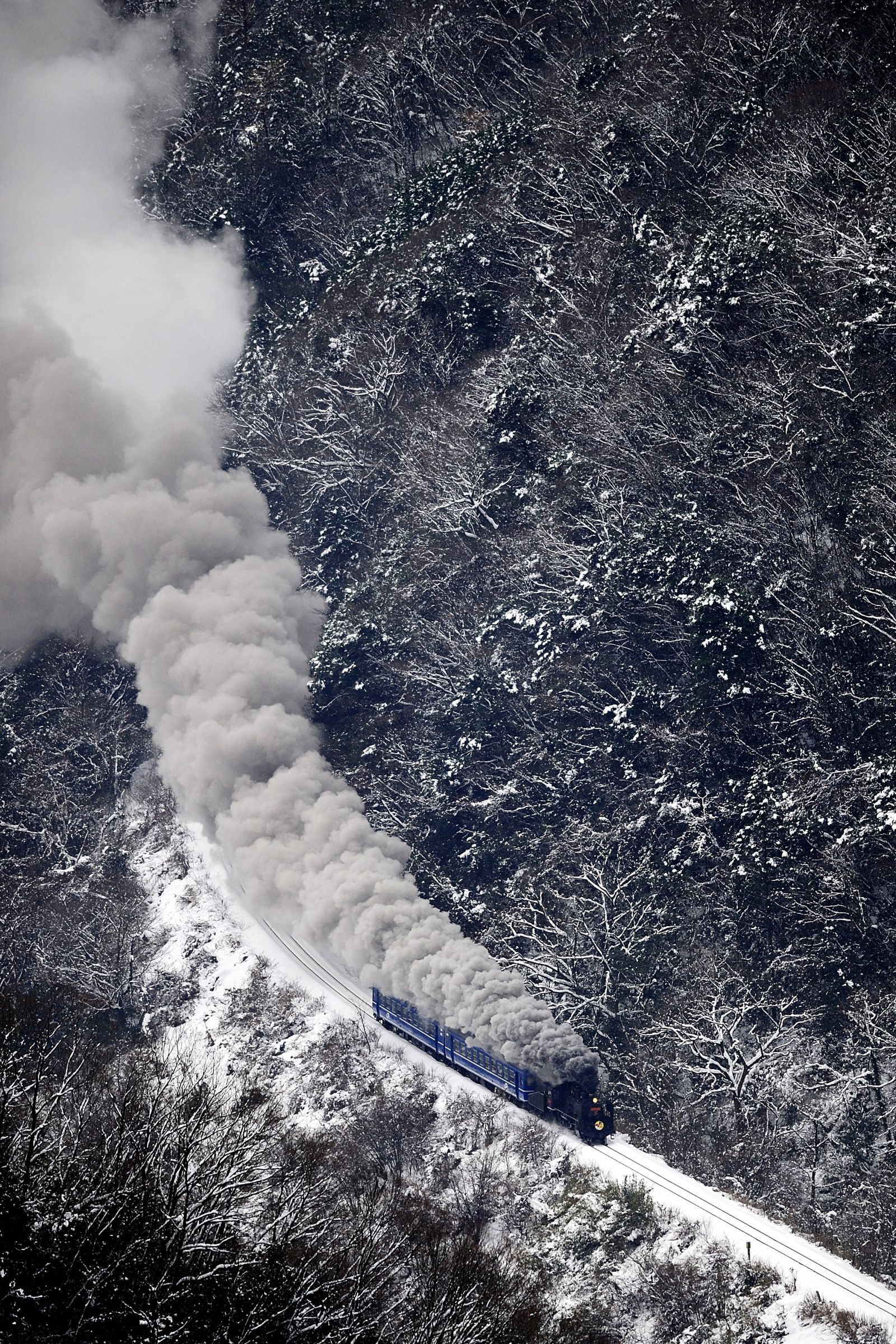 深山の雪 61uRG1aLTAL._UF350,350_QL50_.jpg