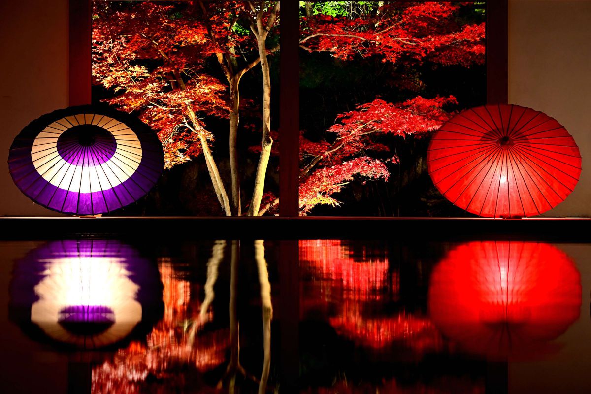 NIKKOR Z 24-120mm f/4 Sで撮影された写真 | 写真検索 | GANREF