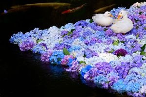 どんぐりアート♡ 紫陽花オブジェ　2025年度南国オブジェ♡ どんぐりアート 紫陽花オブジェ 2025年度南国オブジェ