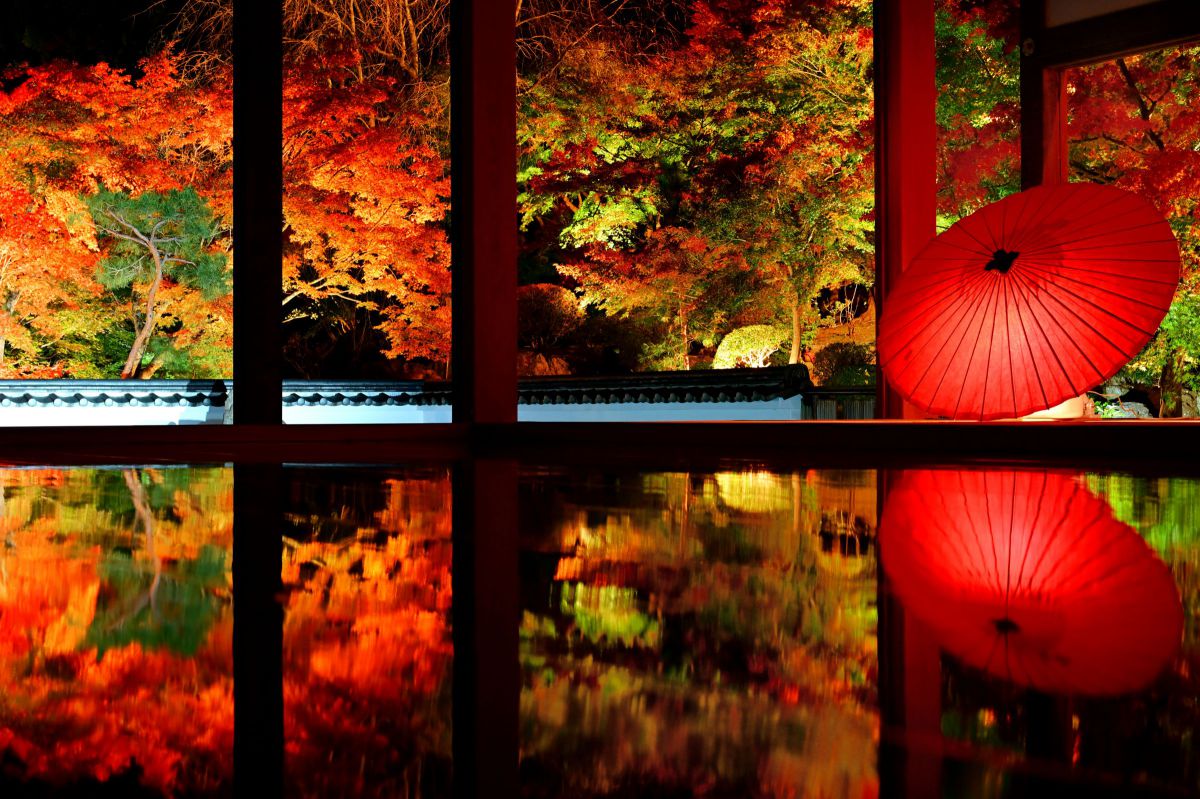 NIKKOR Z 24-120mm f/4 Sで撮影された写真 | 写真検索 | GANREF