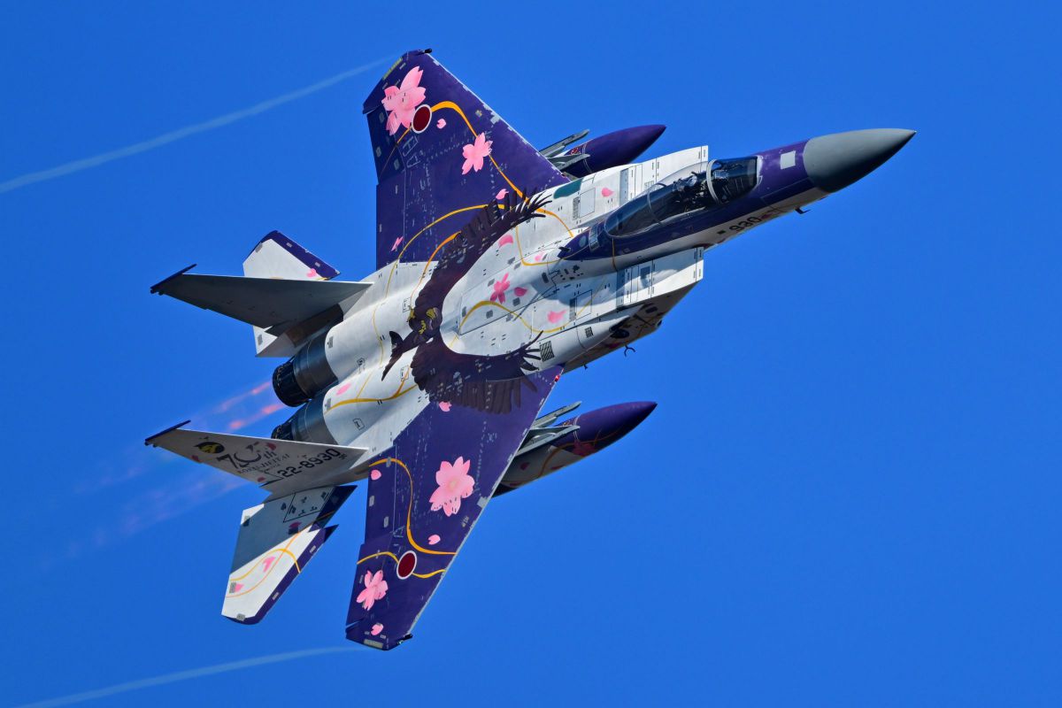 カメレオ フォト MIZU (@mizu_photosession) • Instagram photos and videos