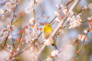 5bb7dfa1694071068a0cddcb320911