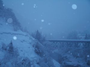 雪の降る朝の赤 雪の降る朝の赤