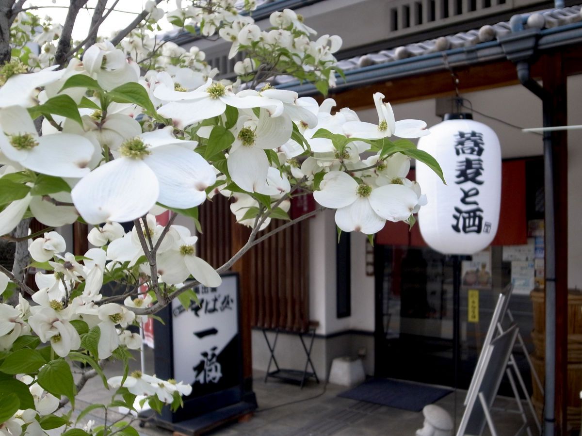 GR DIGITAL IIIで撮影された写真 | 写真検索 | GANREF