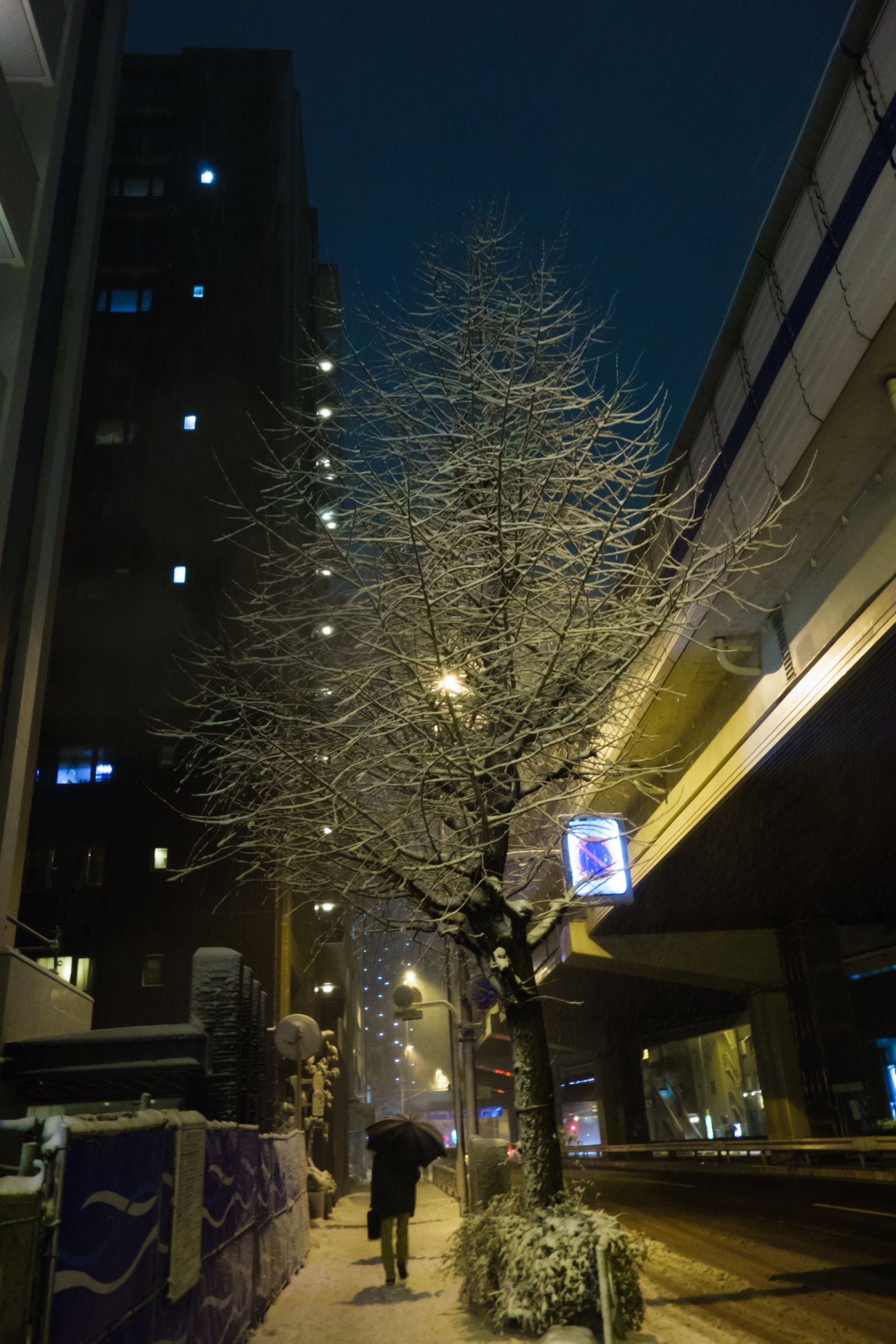 雪降る日 豪雪 - Wikipedia