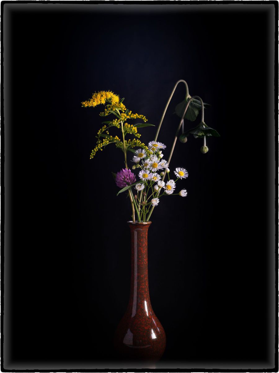 kiyoさんの写真一覧 | GANREF