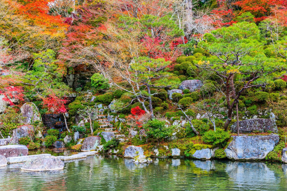 百済寺の紅葉庭園 街並み 建物 神社 寺 教会 Ganref