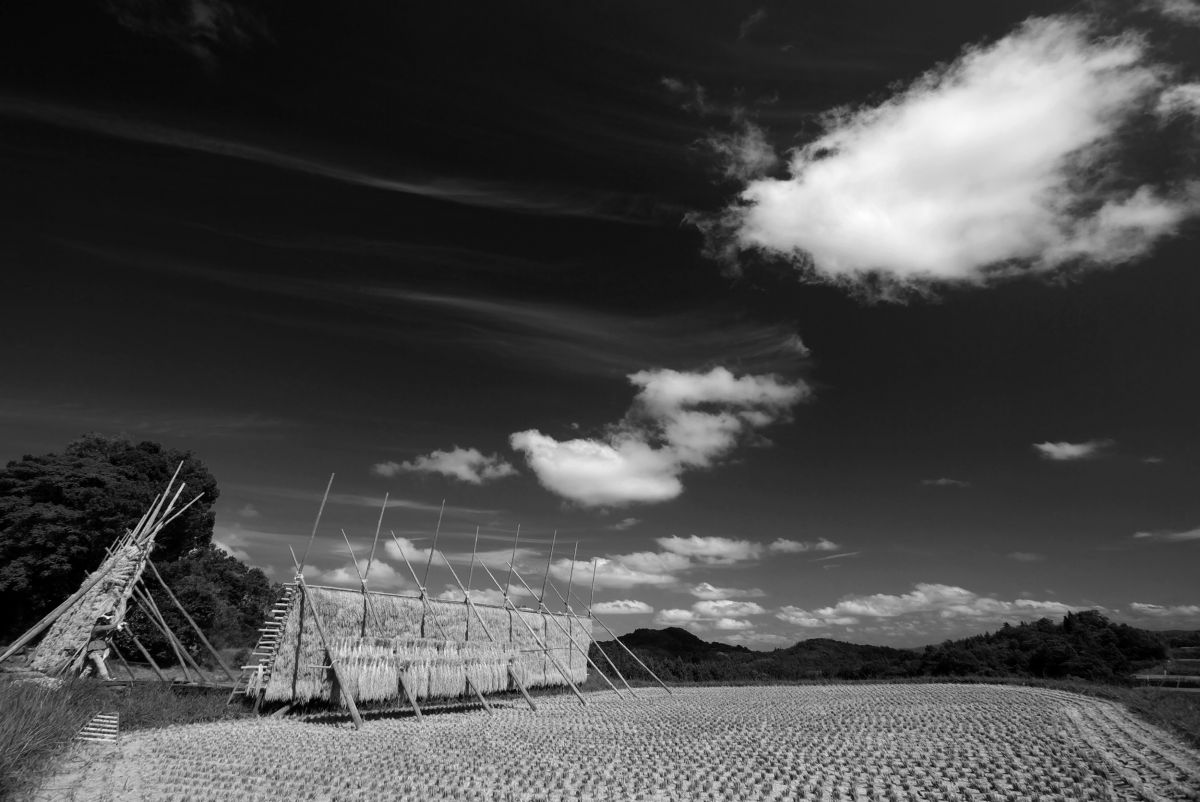 ★希少★MINOLTA ミノルタ AF 20-35mm 広角ズームレンズ MINOLTA AF 20-35mmF3.5-4.5 × SONY α99】 #超広角ズーム | 写真の化学