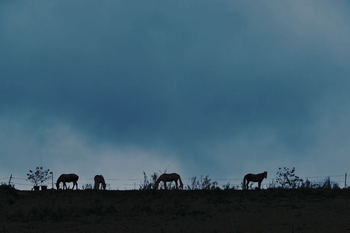 鉛色の空 自然 風景 空 雲 Ganref