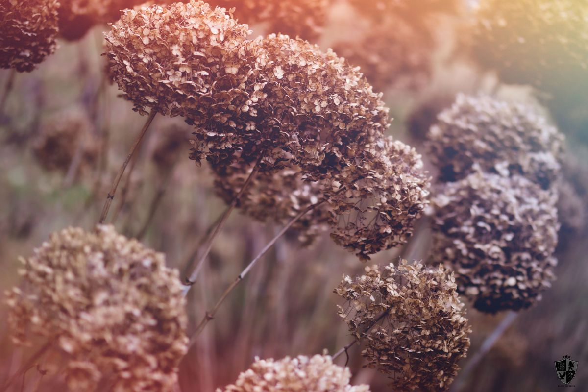 MDAwMDA2NTkyNg_MC4yMjMxODEwMCA