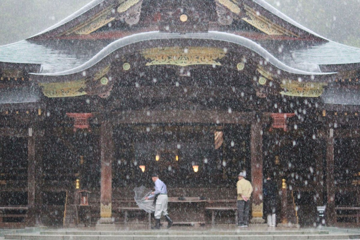 雨、神社 | GANREF