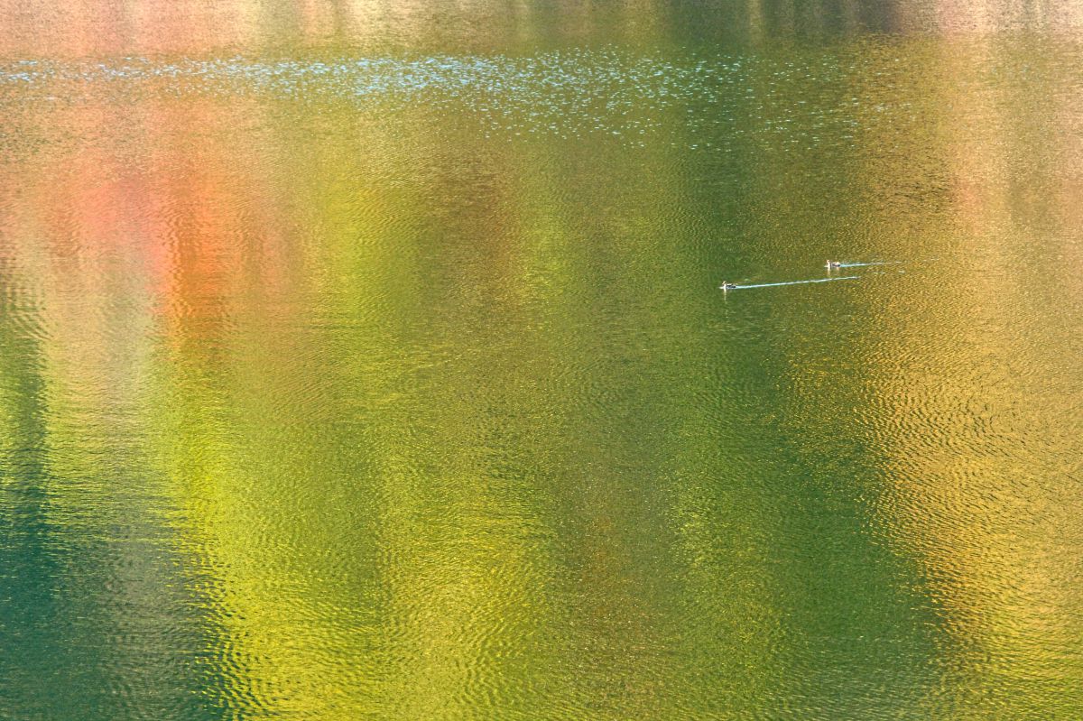 NEX-7で撮影された写真 | 写真検索 | GANREF