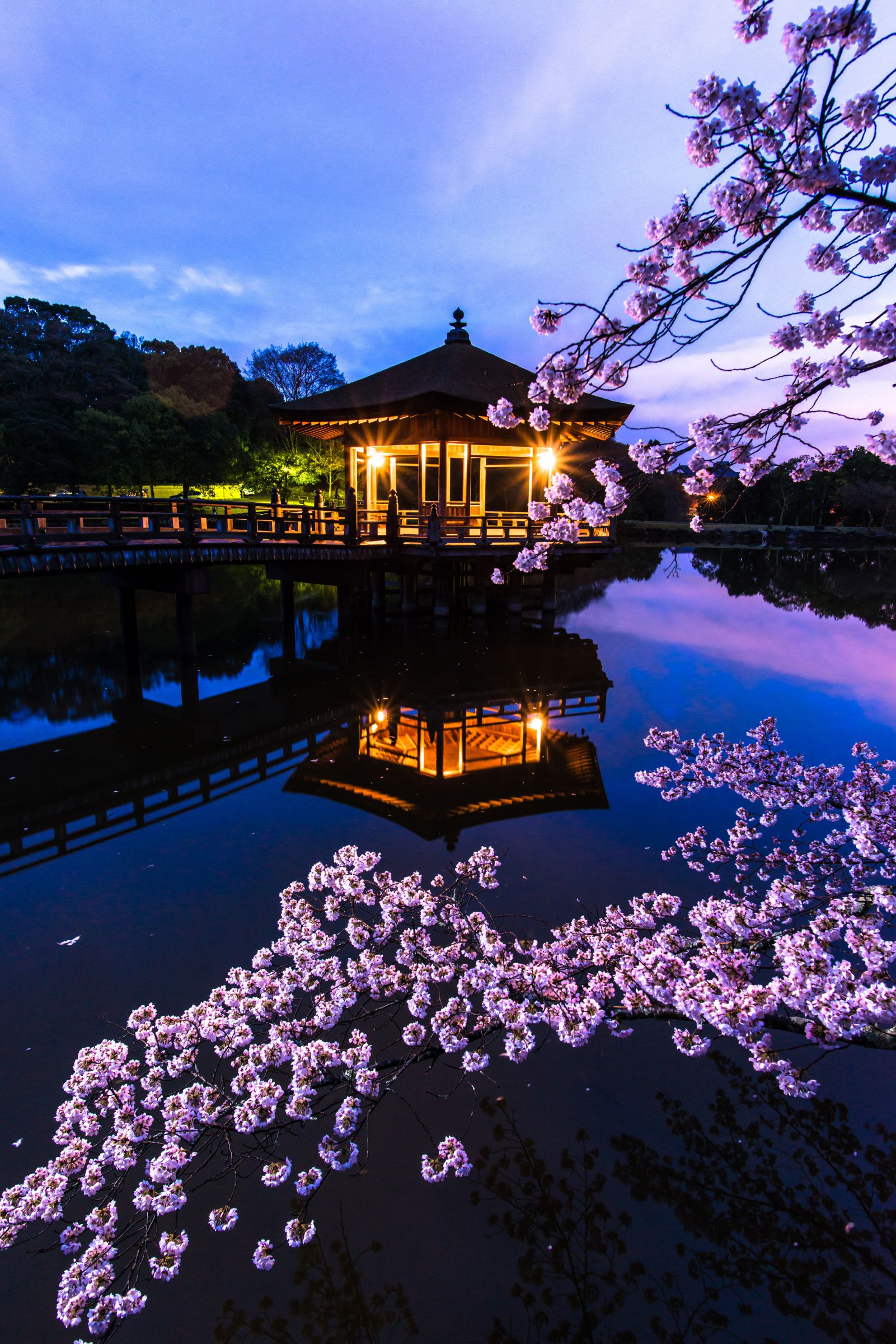 桜浮見堂 | GANREF