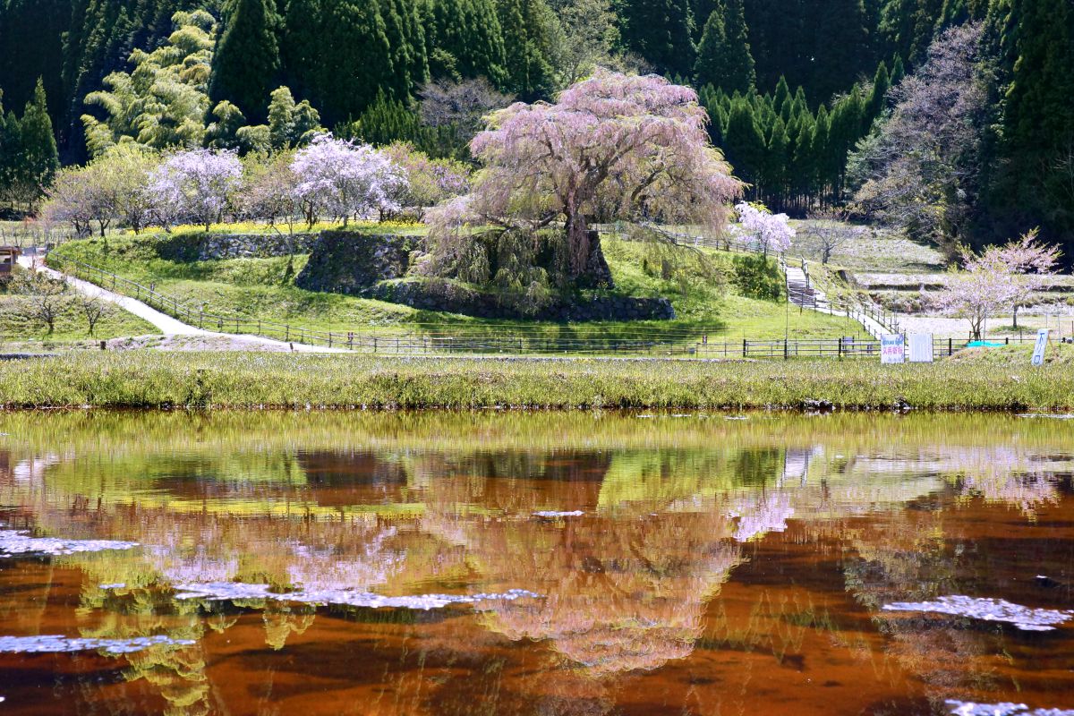 時期外れ
