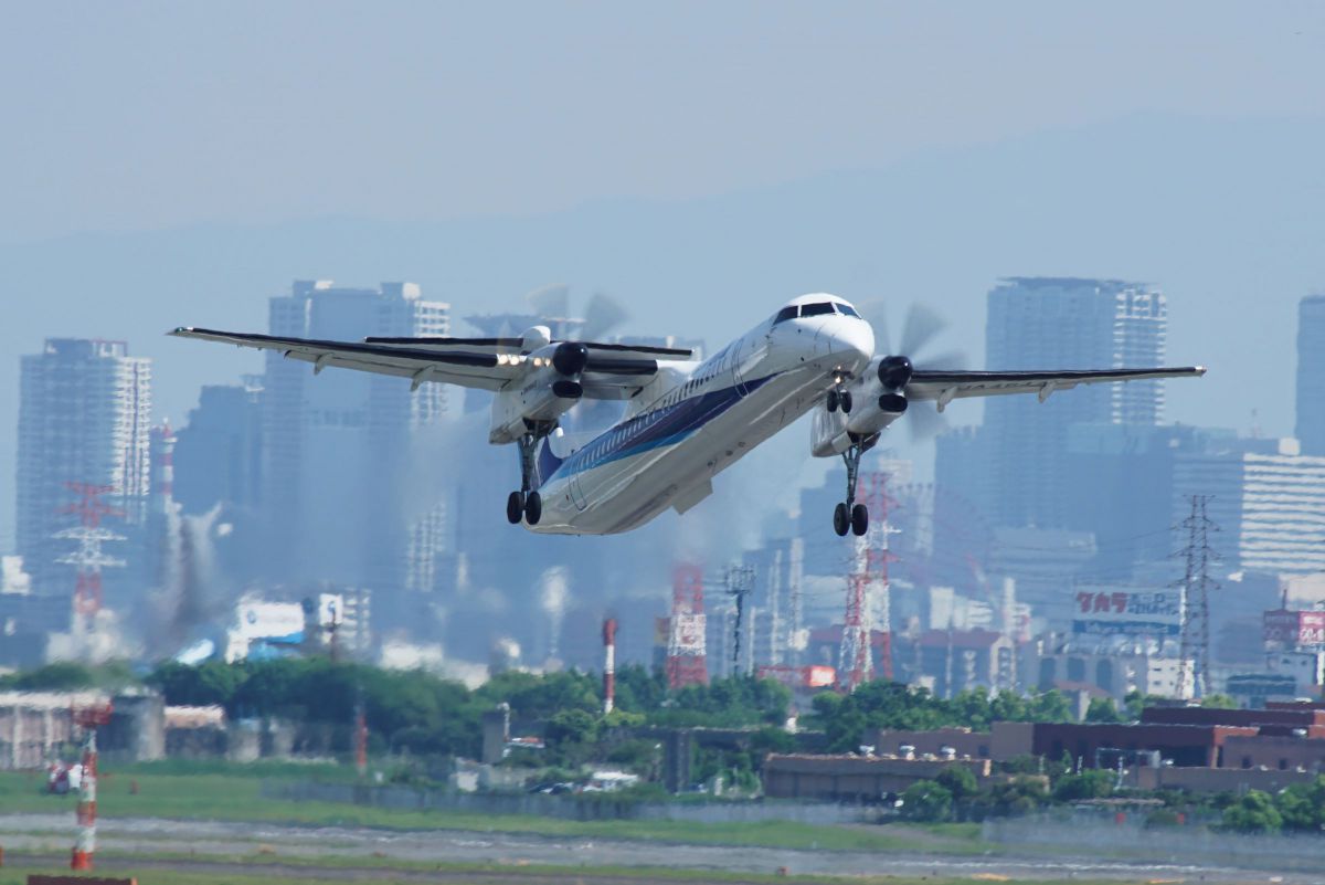 AF APO TELE ZOOM 100-400mm F4.5-6.7で撮影された写真 | 写真検索