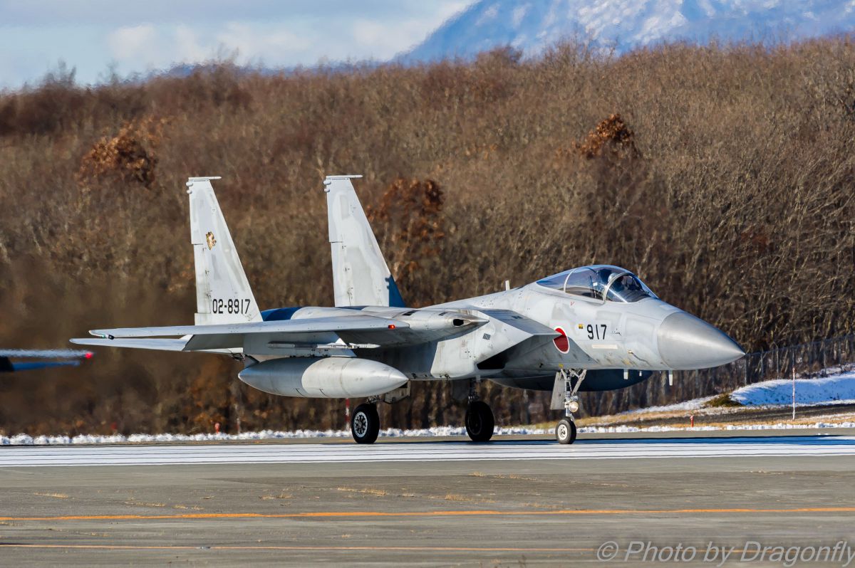 初冬の F-15 EAGLE | GANREF