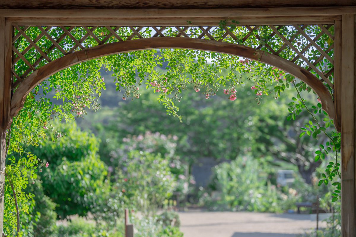 ガゼボの中から GANREF