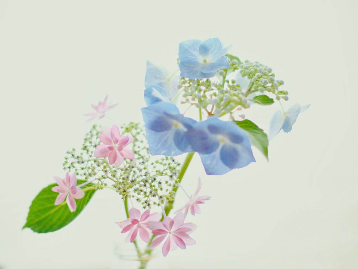 KM様　オーダー依頼用写真イメージ 67e2a6f10f7fe482801d70b121ff5d
