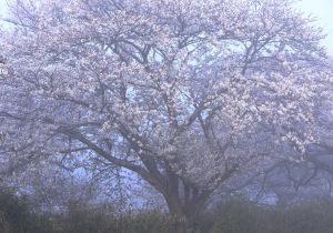 7647f8987c021f1fbbb4d9e6a7c3c6
