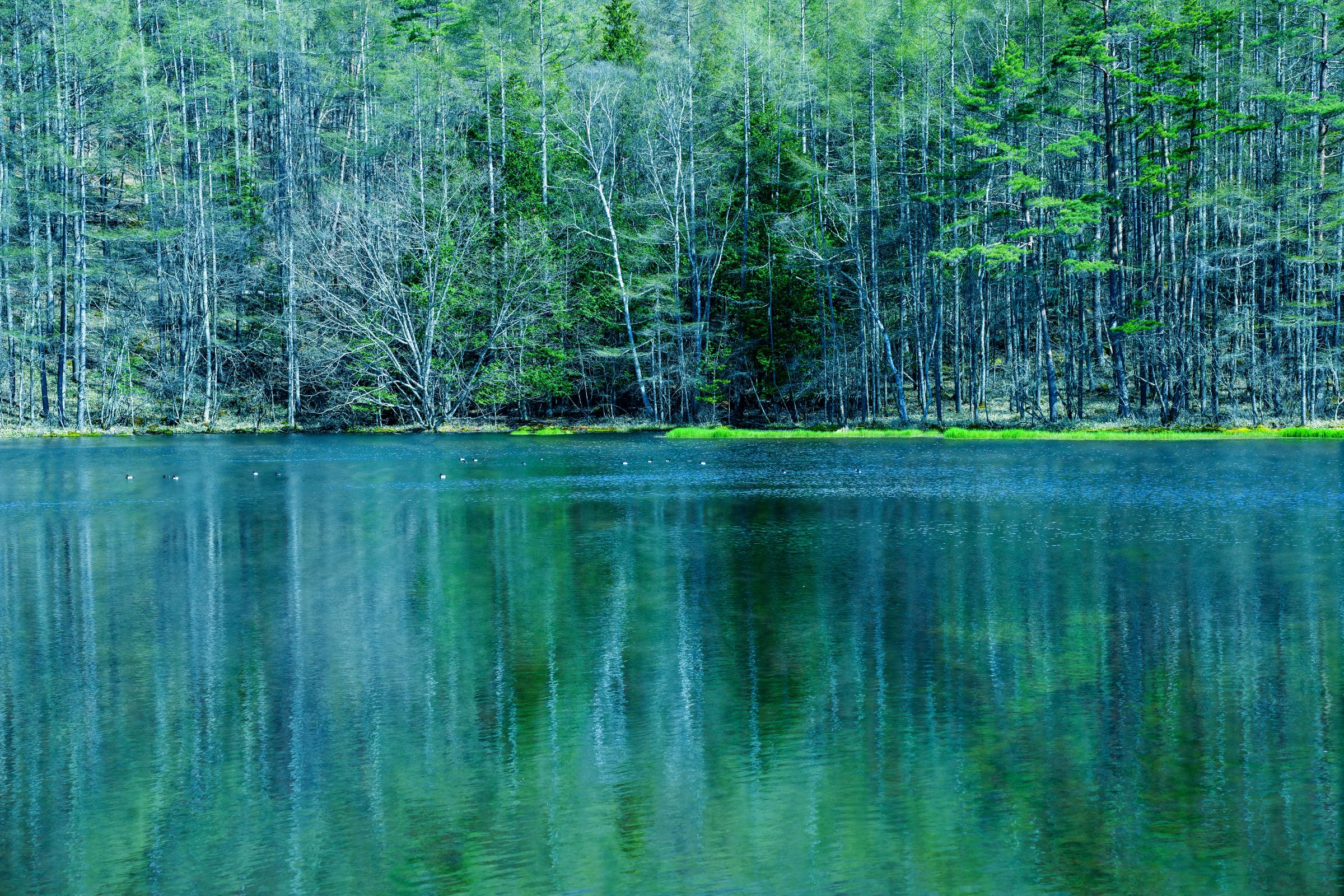 御射鹿池の水面 | GANREF