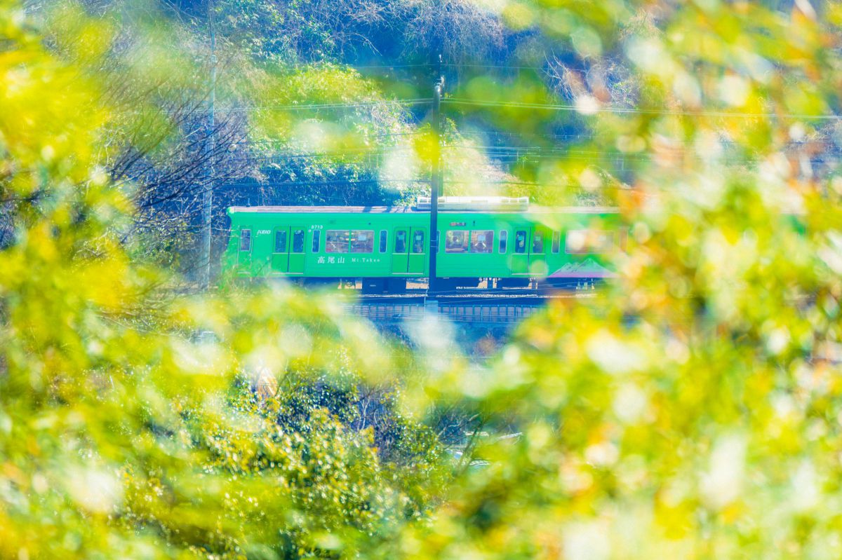 緑の列車 | GANREF