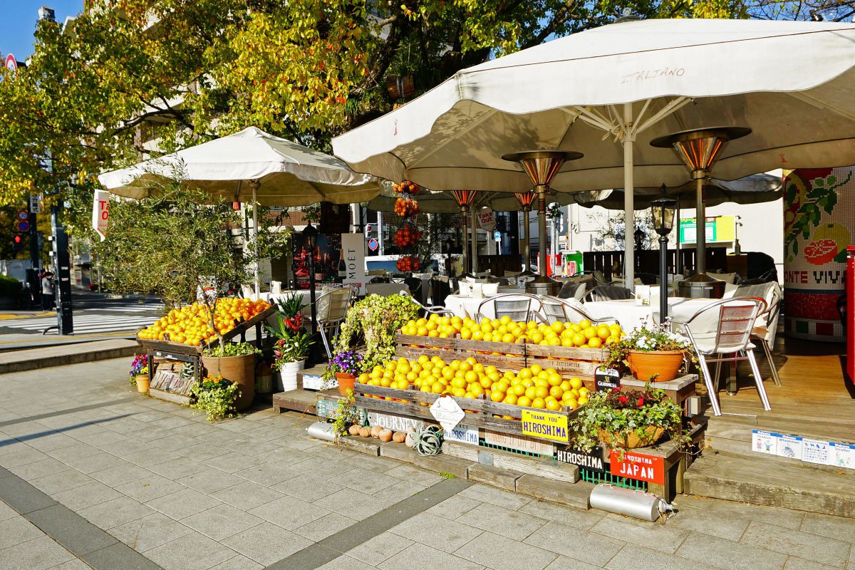 caffe ponte-2 | GANREF