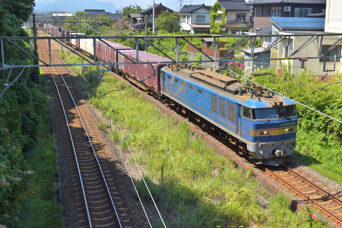 D5600で撮影された写真 | 写真検索 | GANREF