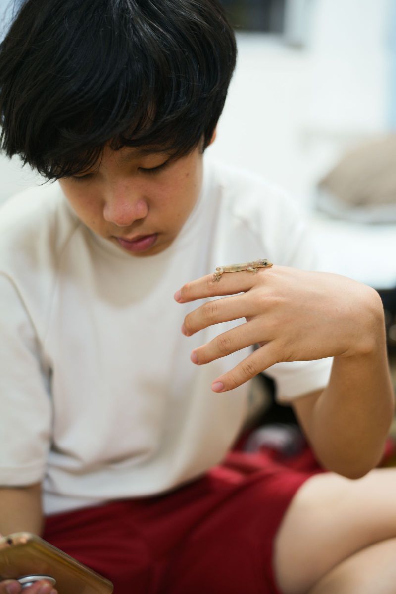 友好条約締結 GANREF