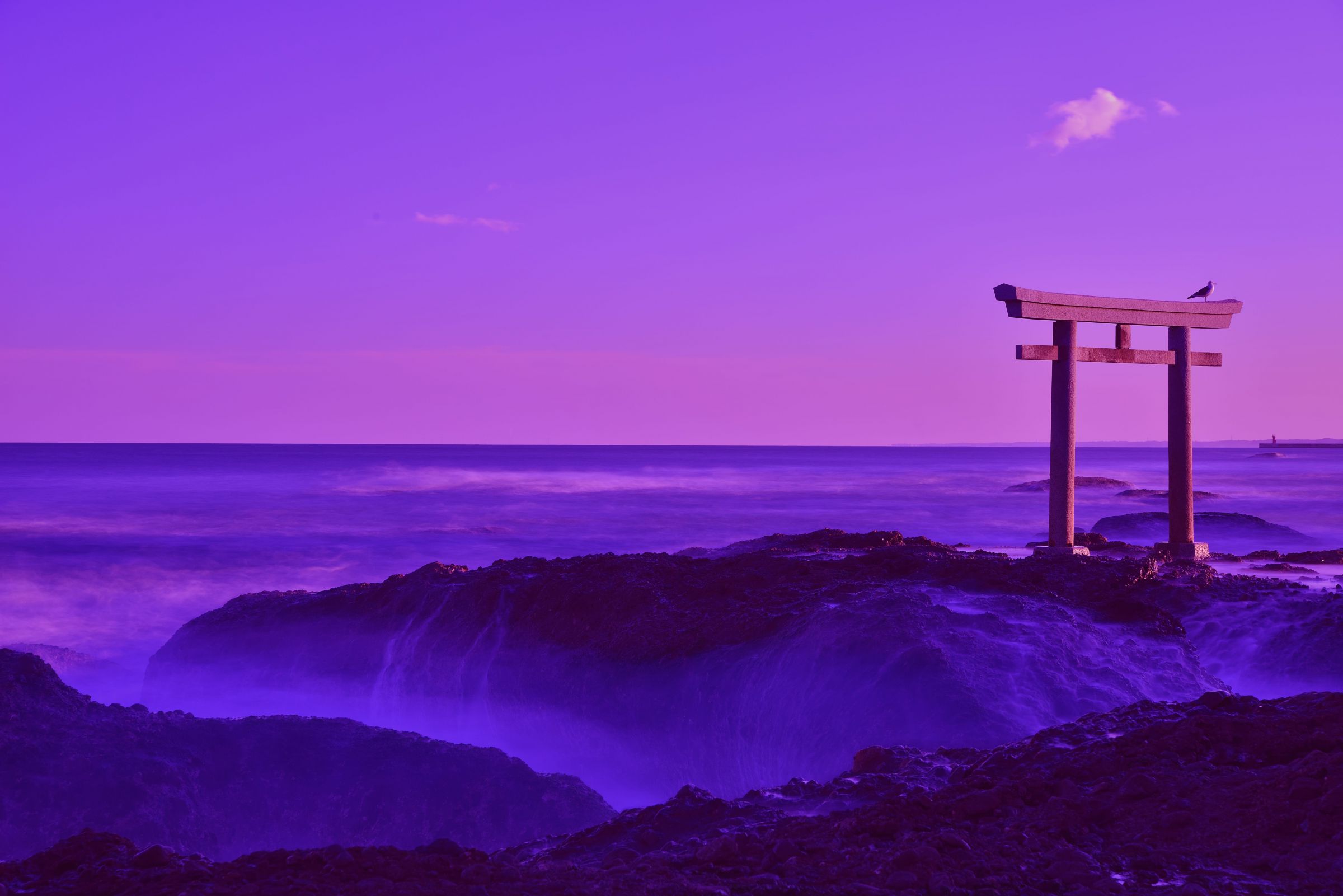 海と鳥居と鳥 | GANREF