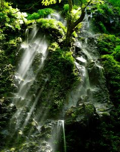 滝の写真19 お題 の写真をみんなで投稿しよう Ganref