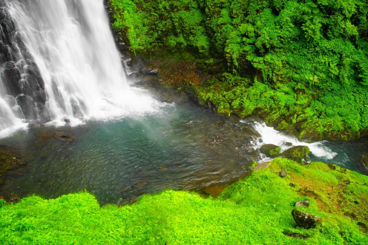 番所大滝 滝つぼ 自然 風景 滝 Ganref
