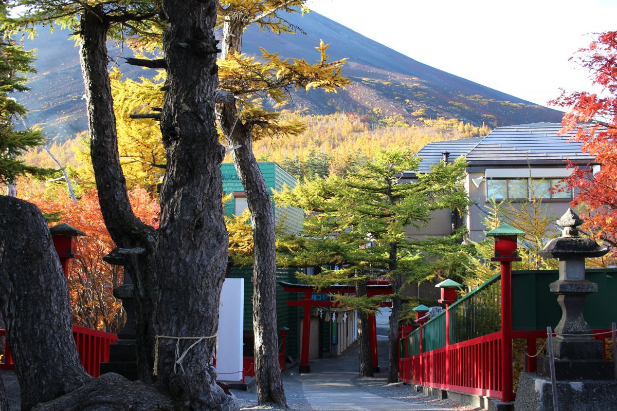 富士山スバル紅葉ライン 自然 風景 山 Ganref