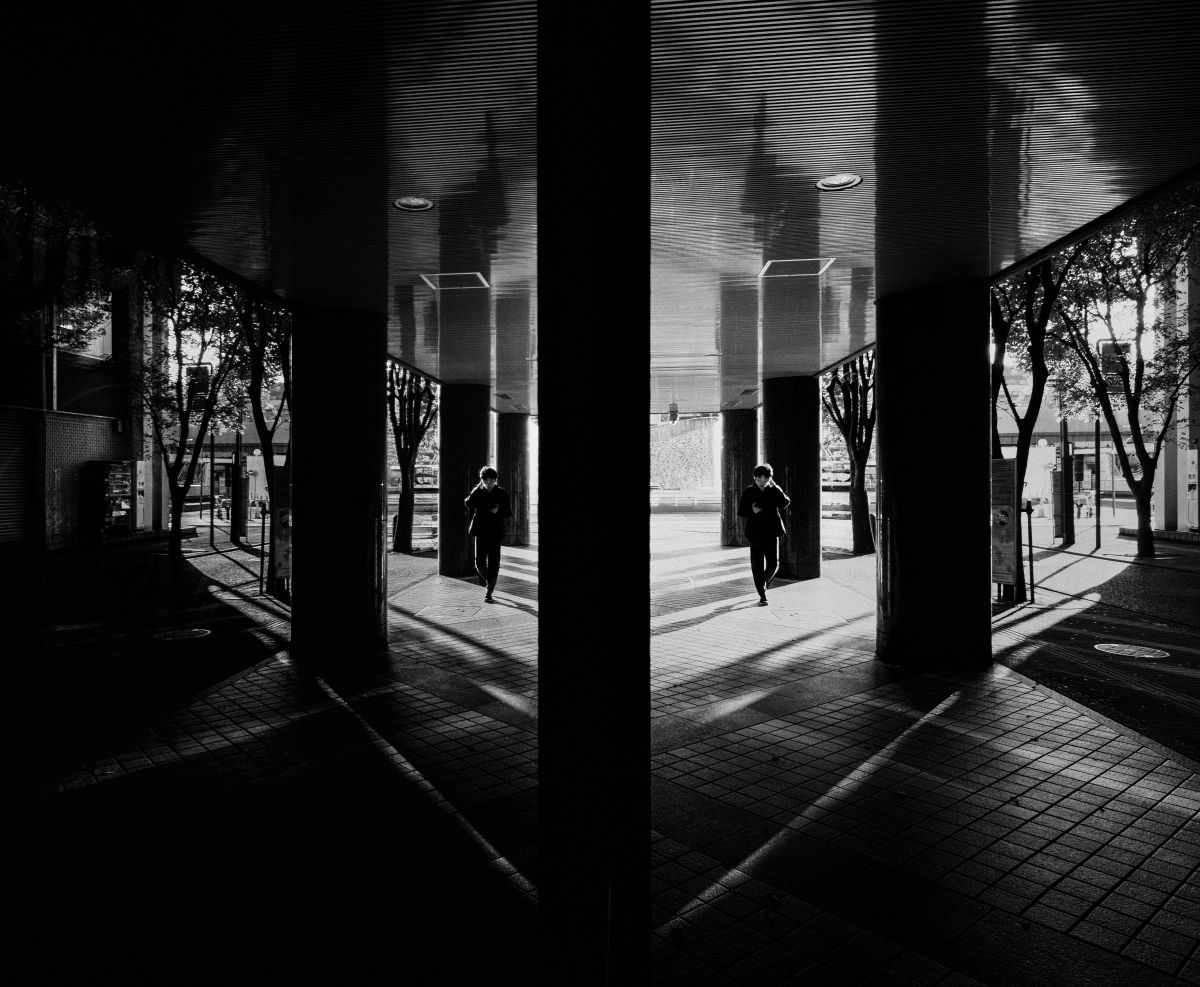 reflection | GANREF