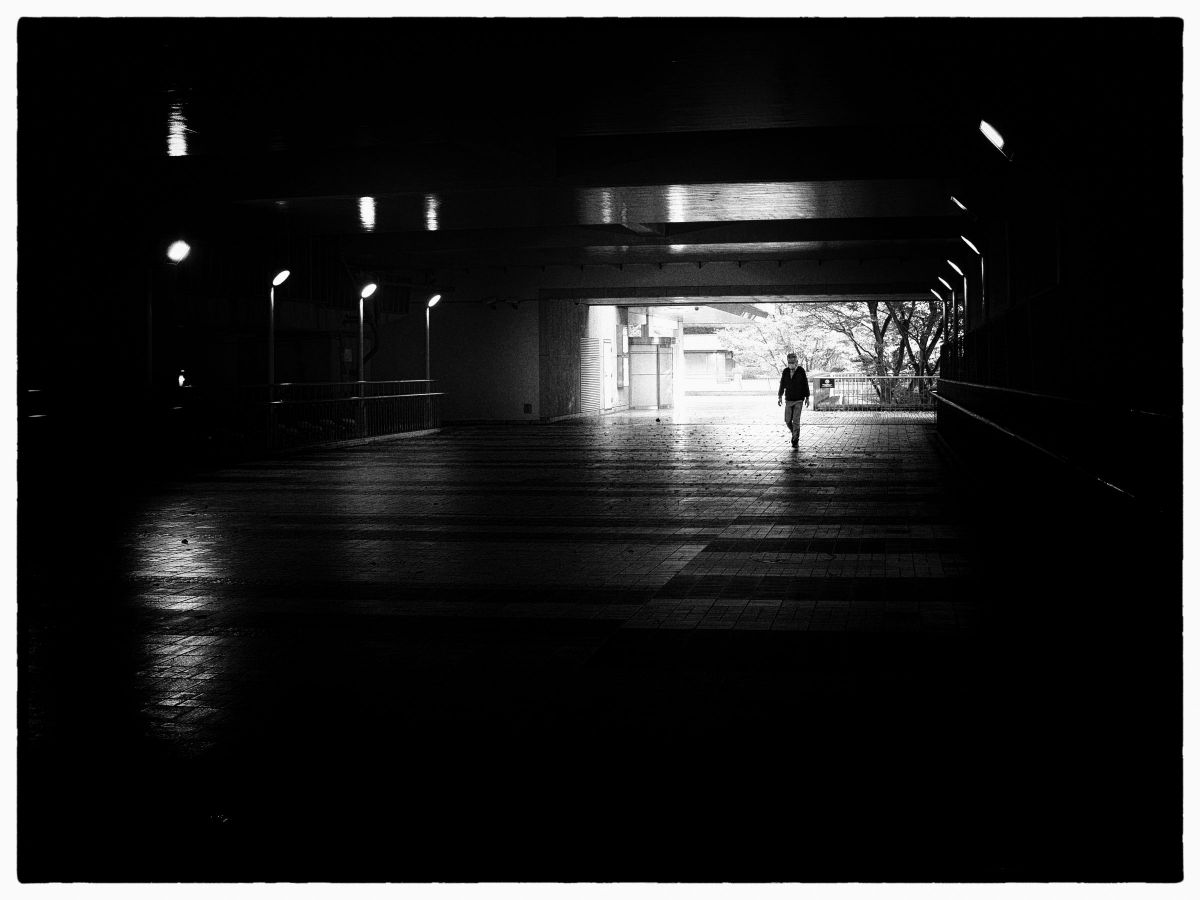 into the dark 暗がりに向かう | GANREF