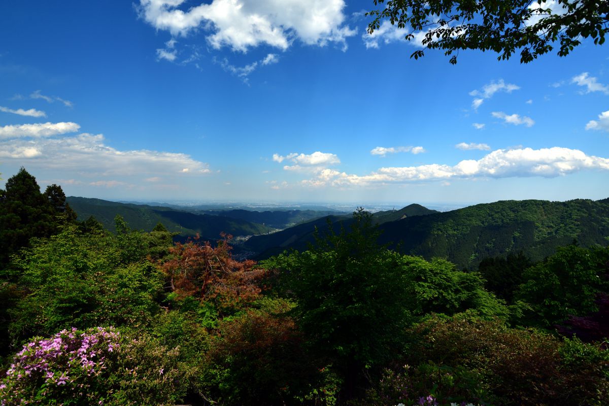 AT-X 11-20 PRO DXで撮影された写真 | 写真検索 | GANREF