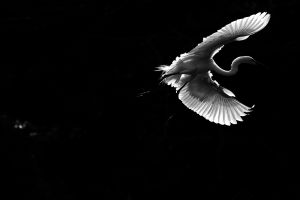 93cff33da81521dbfee6844d07a318