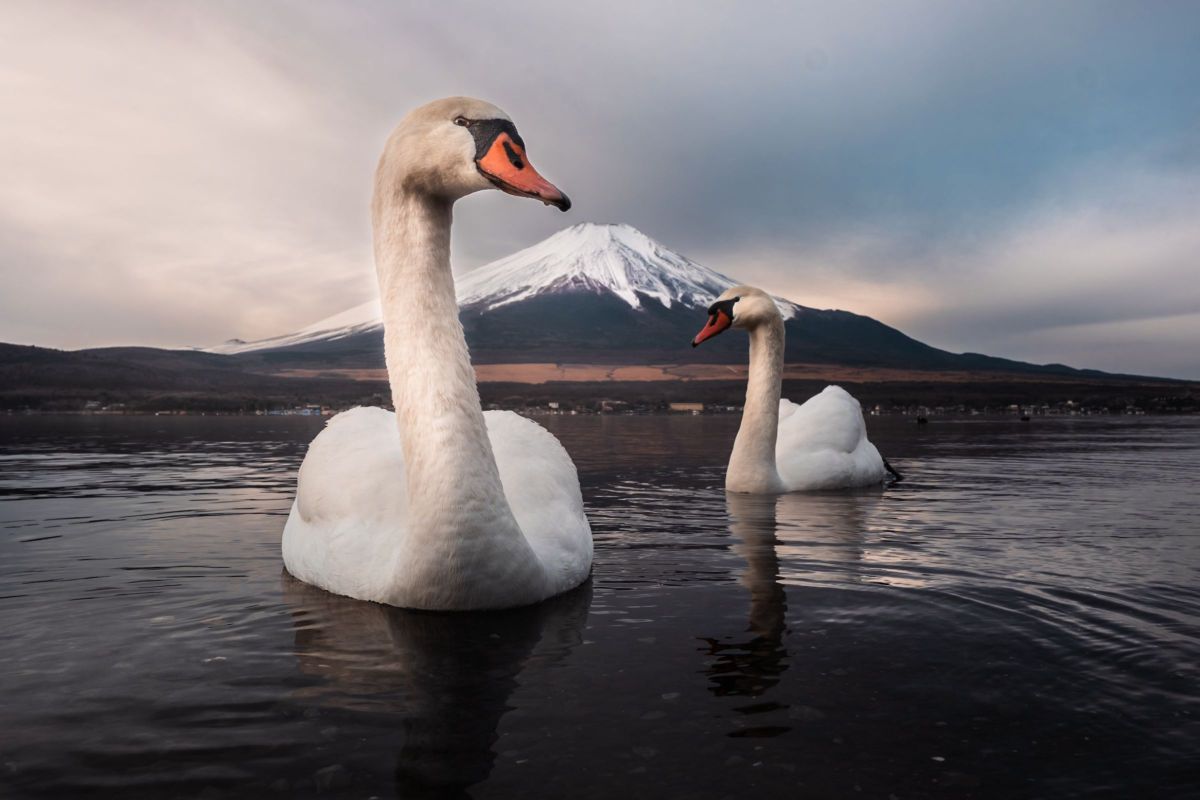 なつのフォトグラム集First なつのフォトグラム集First なつのフォトグラム集First なつのフォト