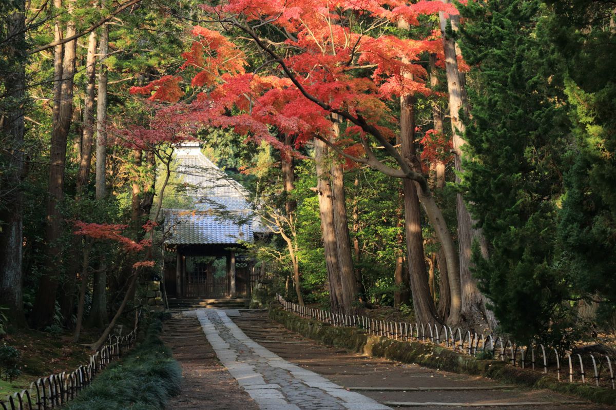 鎌倉 紅葉2015 寿福寺 街並み 建物 神社 寺 教会 Ganref