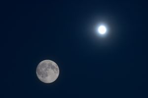 夏の満月（ブルームーンと月見草） | GANREF