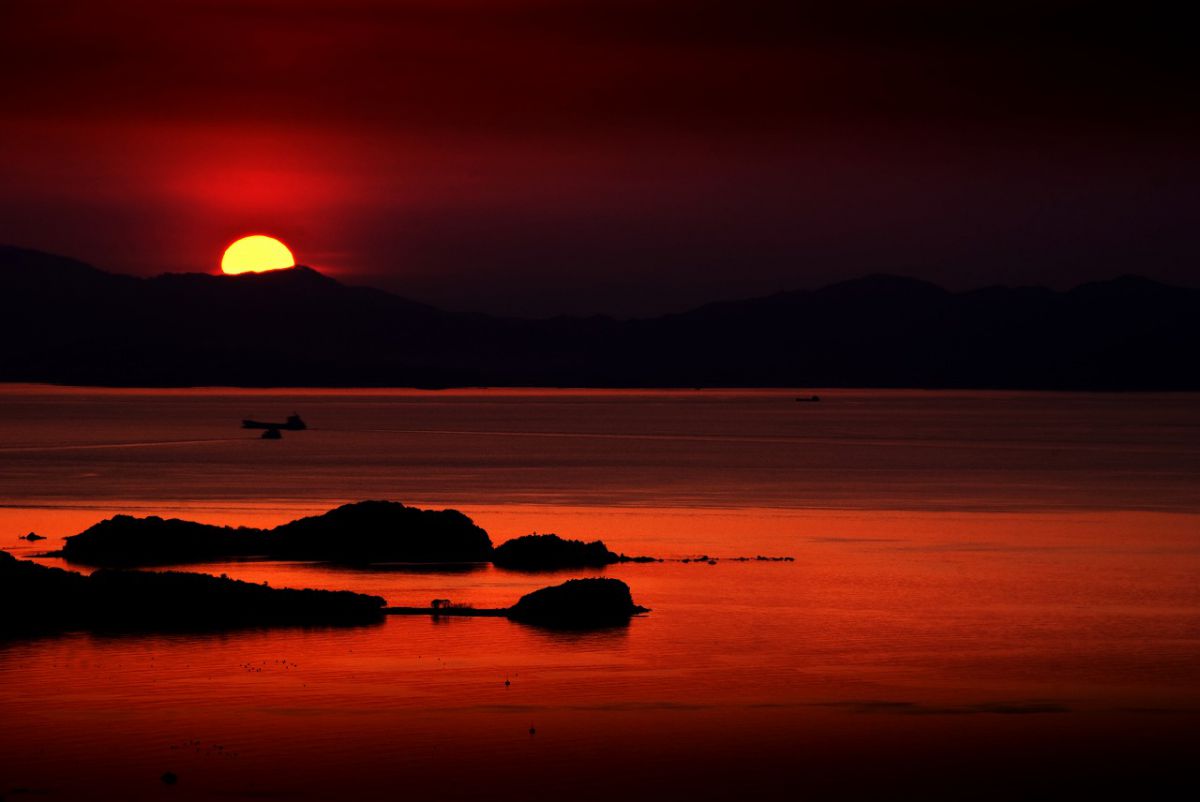 AF-S DX VR Zoom-Nikkor 55-200mm f/4-5.6G IF-EDで撮影された写真