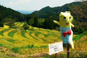 レッサーパンダ 模型シリーズ レッサーパンダ | HLJ.co.jp