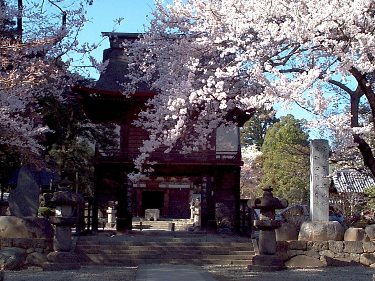 恵林寺桜咲く山門 滅却心頭火自涼 街並み 建物 神社 寺 教会 Ganref 恵林寺桜咲く山門 滅却心頭火自涼 街並み 建物 神社 寺 教会 Ganref