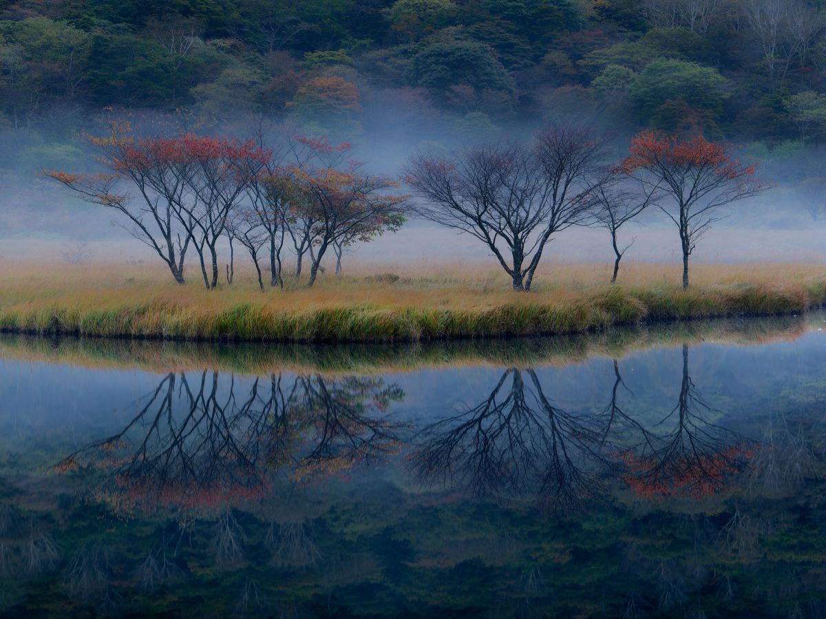 LUMIX S PRO 24-70mm F2.8で撮影された写真 | 写真検索 | GANREF