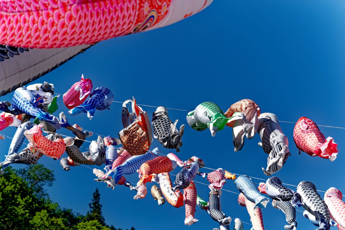 LUMIX S PRO 70-200mm F2.8 O.I.S.で撮影された写真 | 写真検索 | GANREF