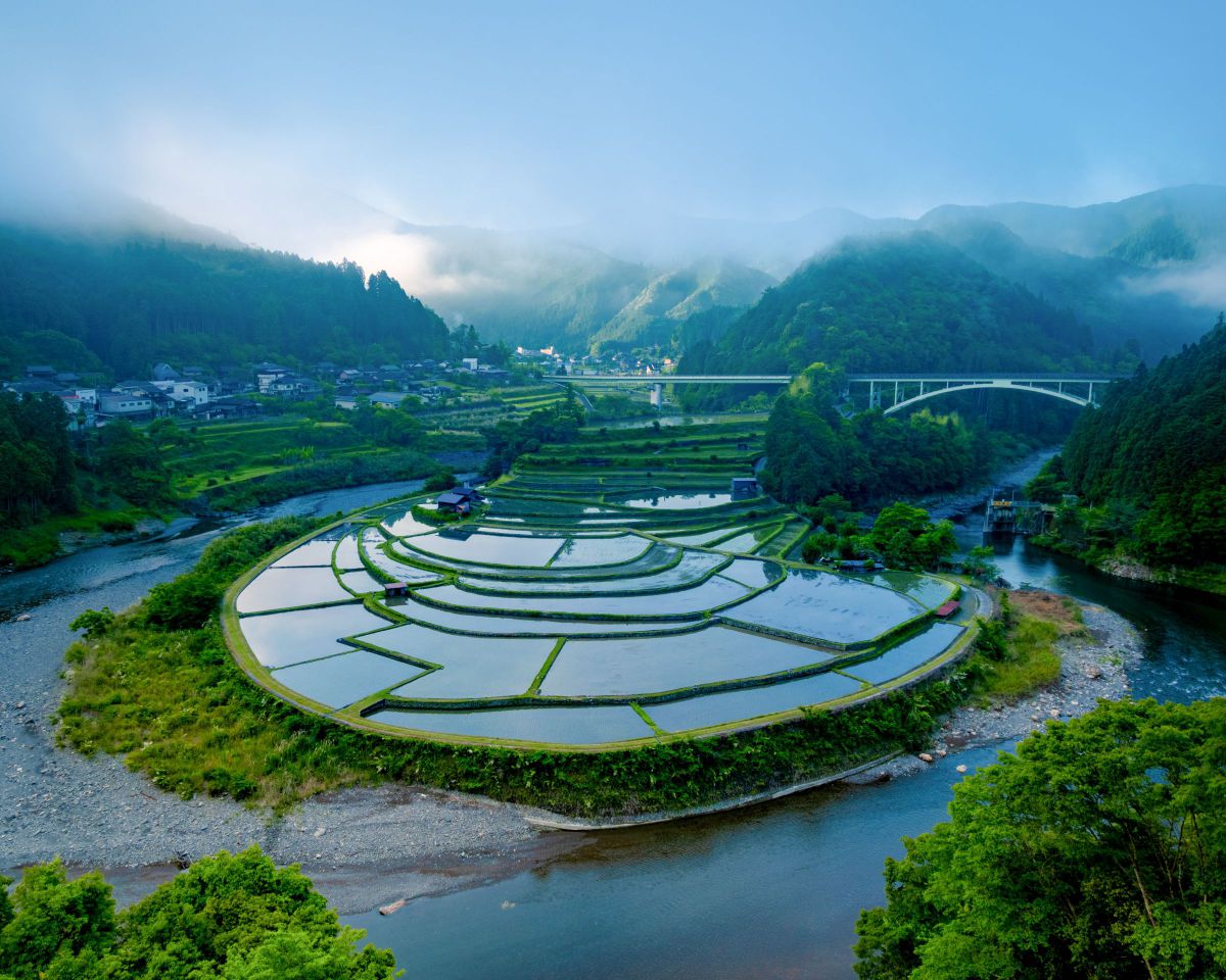 あらぎ島の夜明け GANREF