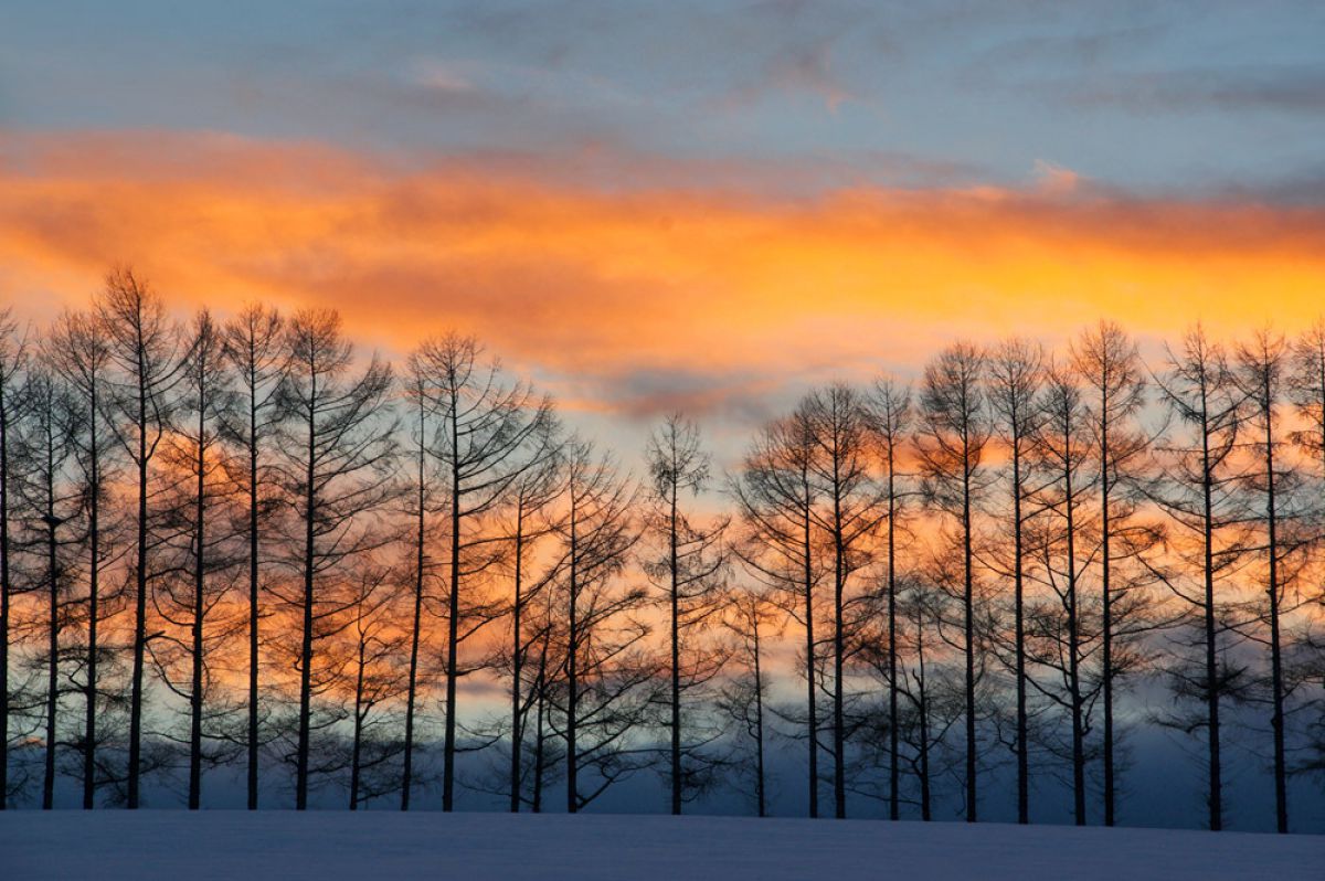 暮色 自然 風景 空 雲 Ganref